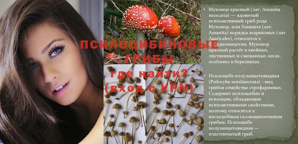 сатива Абдулино