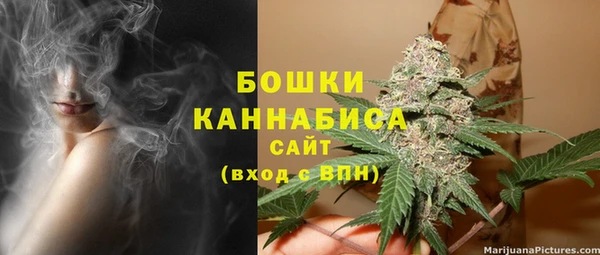 прущие грибы Протвино