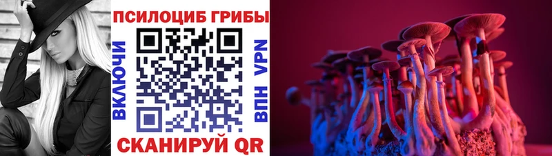 Псилоцибиновые грибы мицелий  Шимановск 